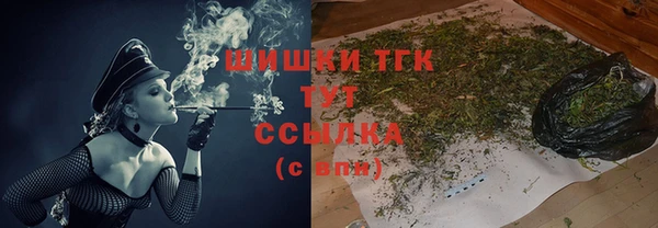 дмт Алзамай