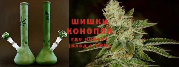 дмт Алзамай