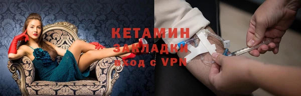 дмт Алзамай