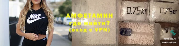гидра Алексеевка