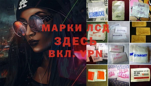 сатива Алексин