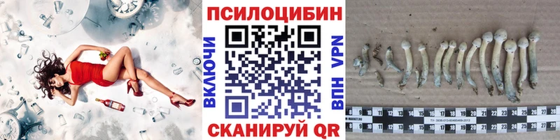 Галлюциногенные грибы прущие грибы  блэк спрут tor  Сыктывкар  где найти  